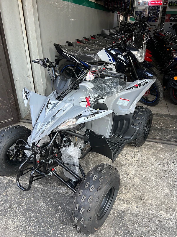 ATV Xwolf 110