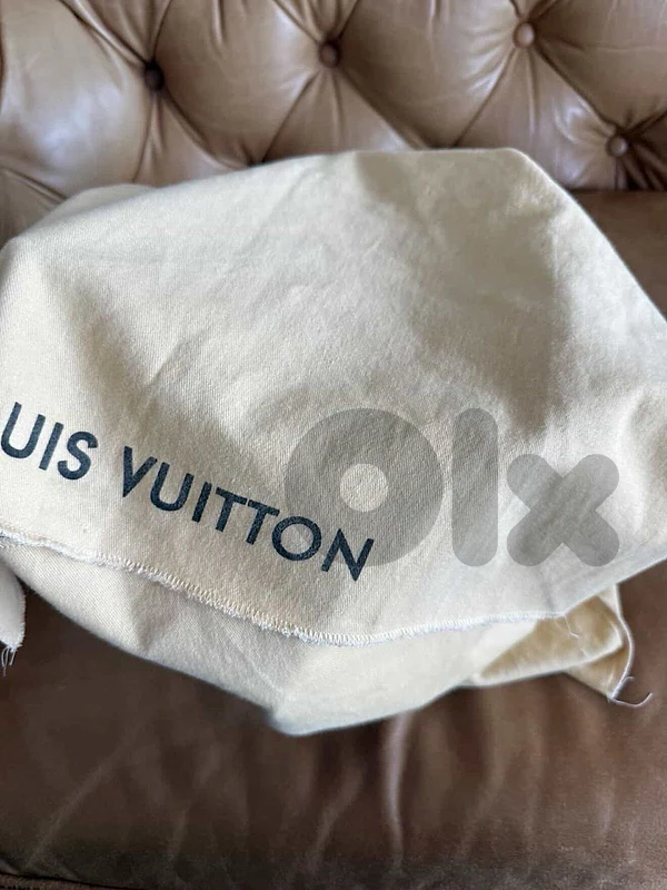 lv authentic bag