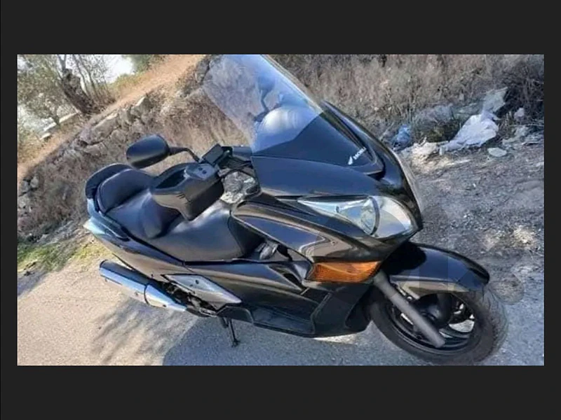 silverwing