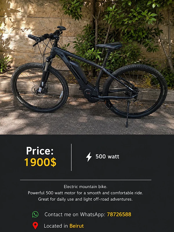 mountain electric bike