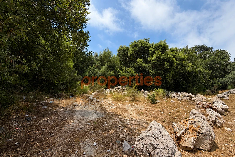 Land For Sale in Ajaltoun أرض للبيع في عجلتون CPKMF112