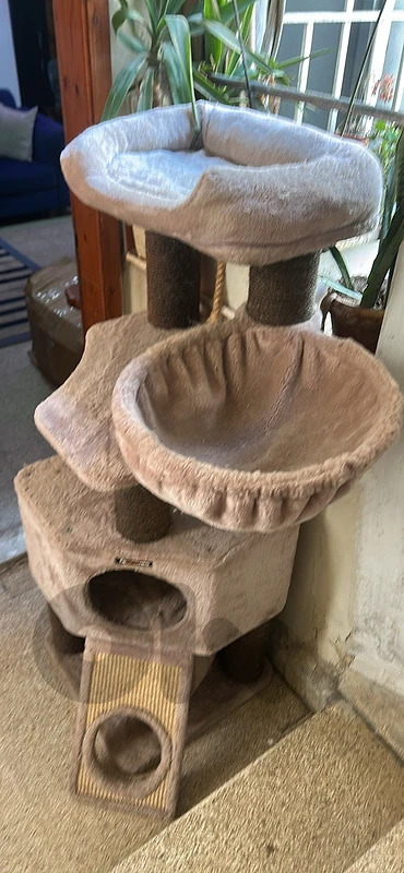 cat tower