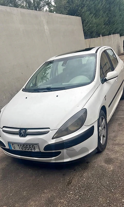 peugot 204 2004