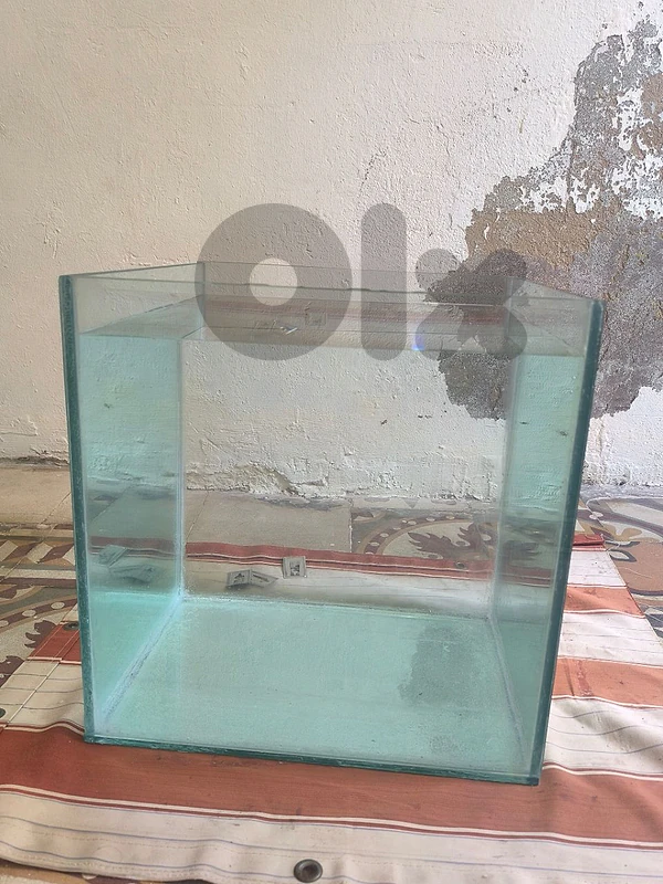 aquariums for sale