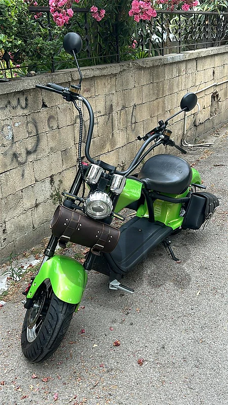 jal el dib