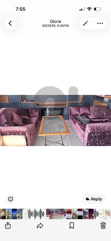 2 sofas alike