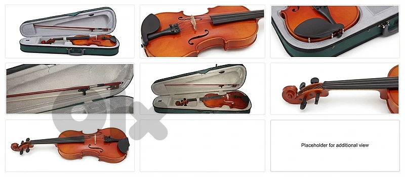 Violin