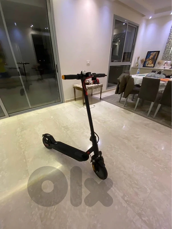 eletric scooter