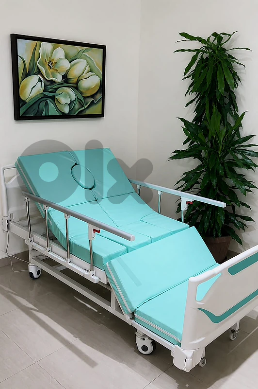 Electric Hospital Bed with Built-in Toilet