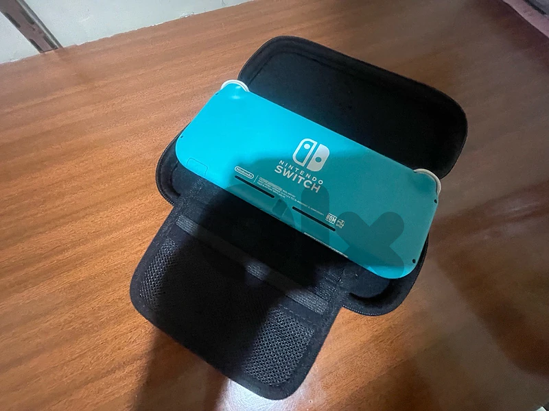 nintendo switch light for saale