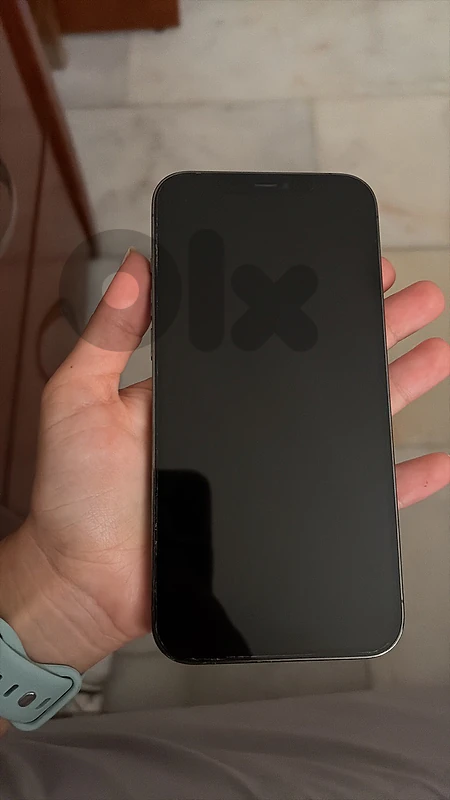 iPhone 12 pro max