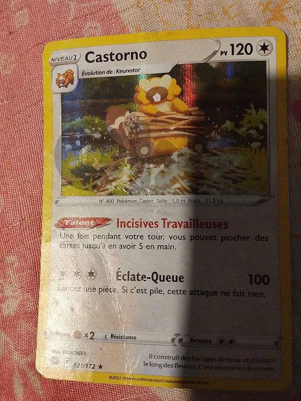 castorno pokemon card.