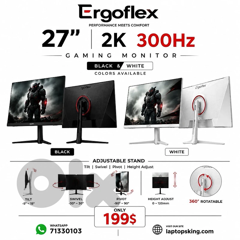 Ergoflex 27-inch 2K 300Hz Gaming Monitor
