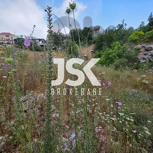 L21947 Land For Sale In Faytroun
