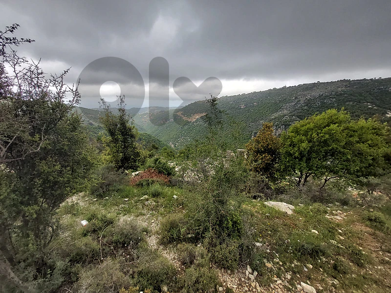 A 21.000 sqm land for sale in Haqel - Jbeil