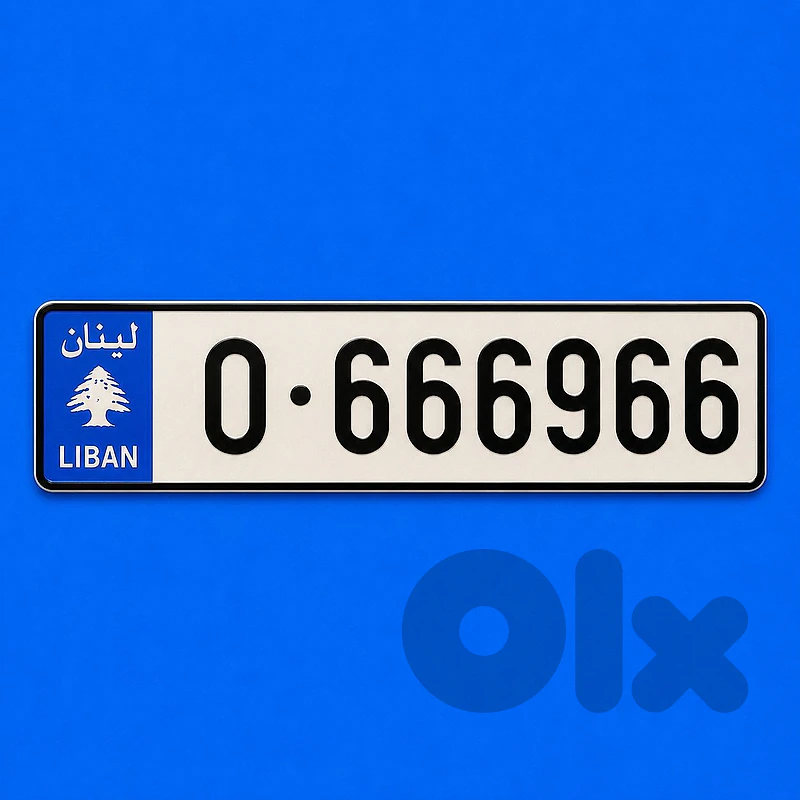 O 666966 special number