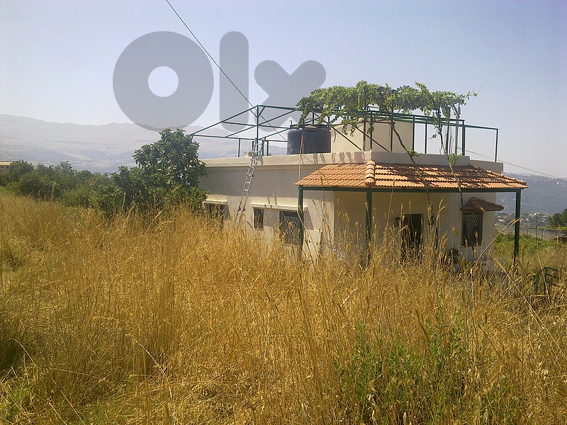 House for rent