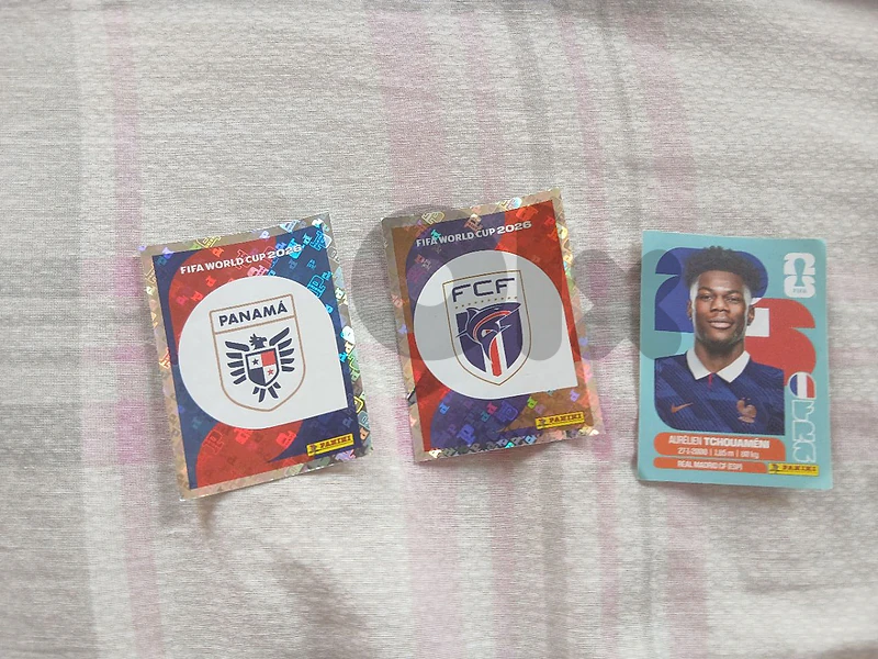 panini