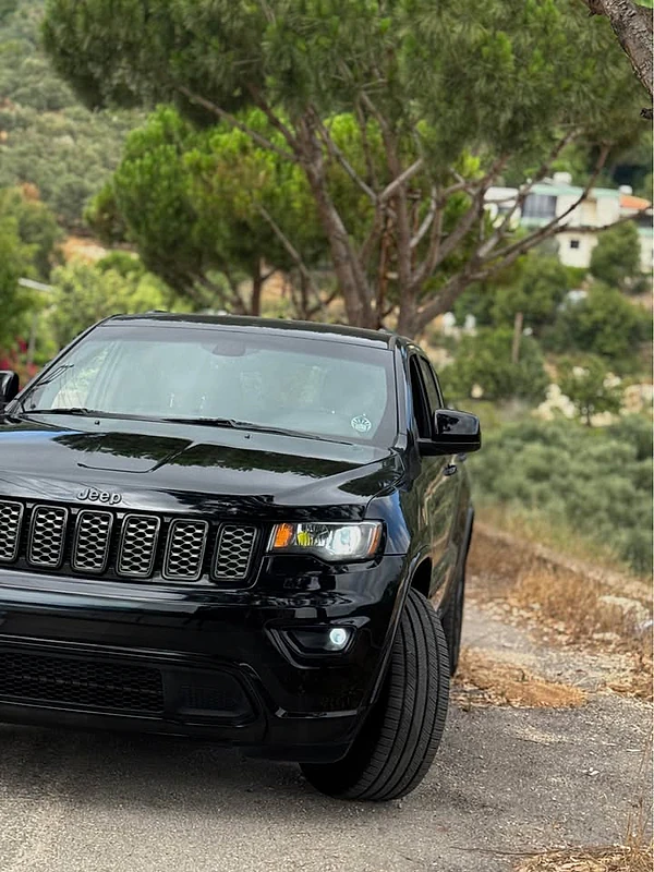 Cherokee altitude 2017