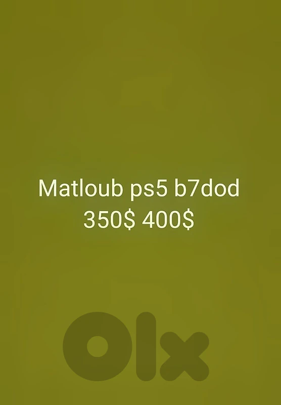 71355005