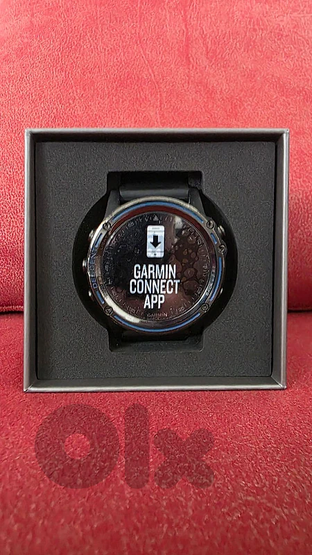 garmin descent mk1 titanium