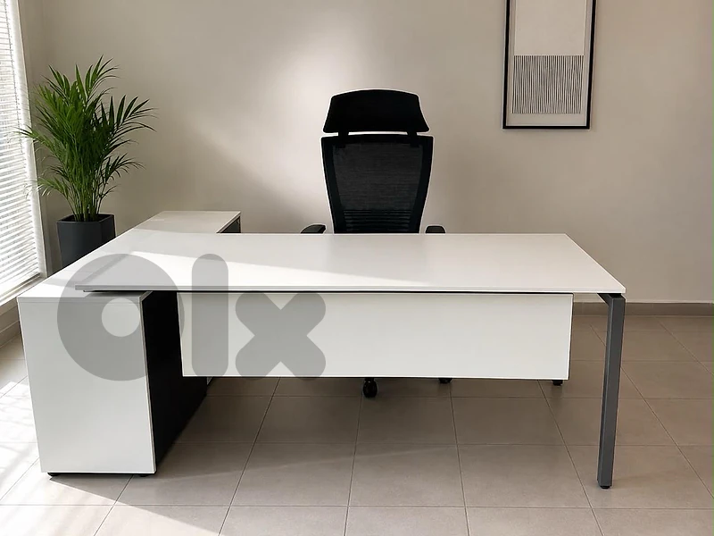 Luxury Executive Office Desk + Ergonomic Chair