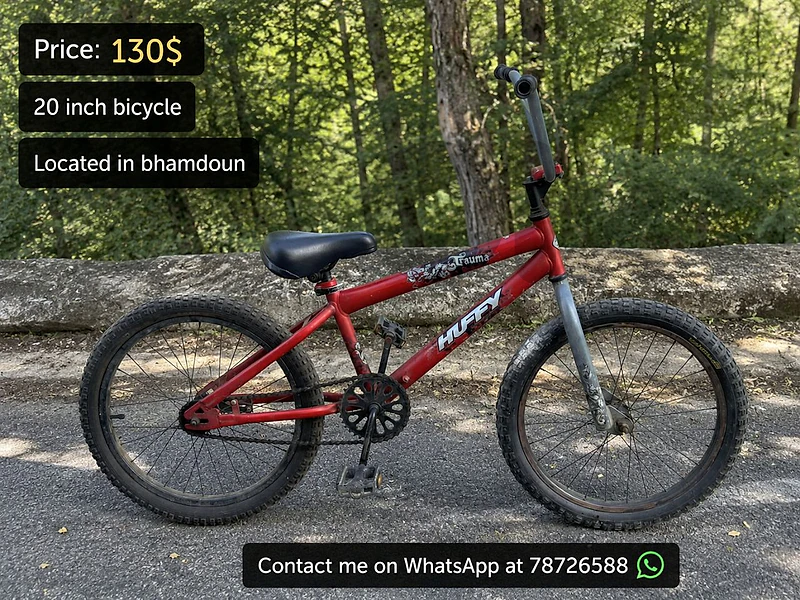 Bicycle 20 inch