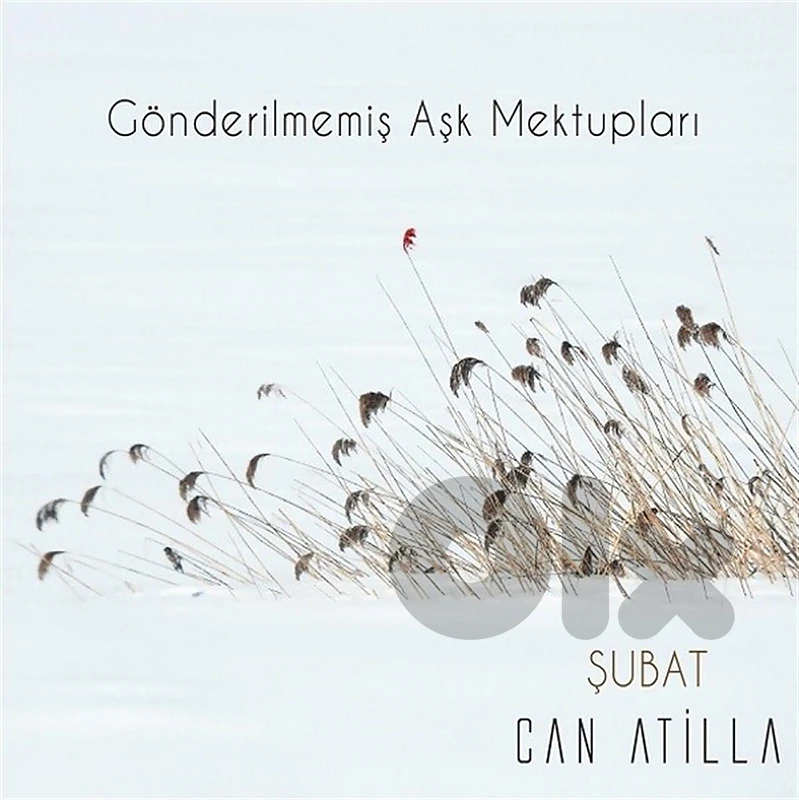 Can Atilla  (Şubat)