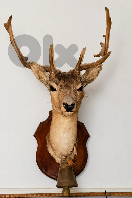 decorative deer