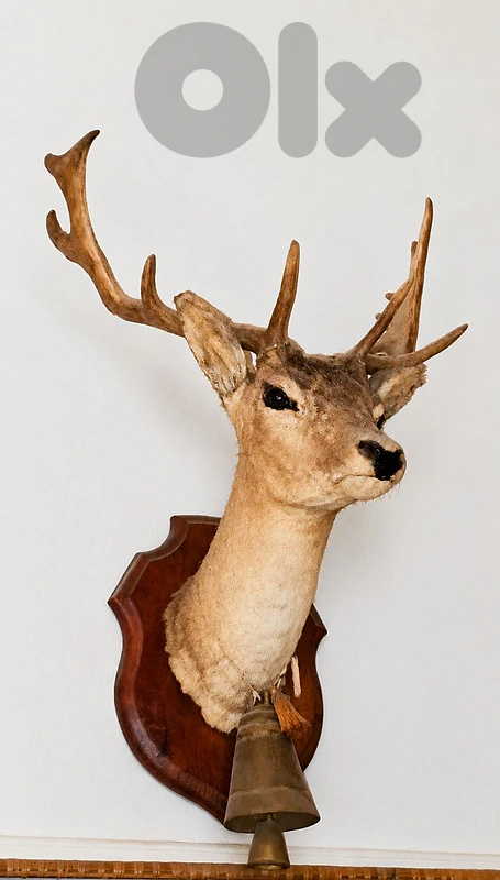 Decorative luxury Deer