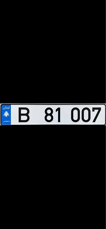 B81007