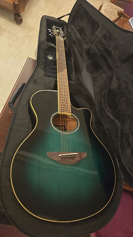 Electric Guitar