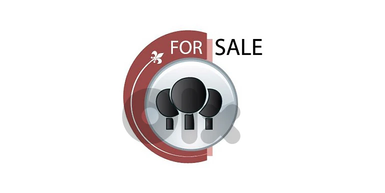 Land for Sale in Tarchich