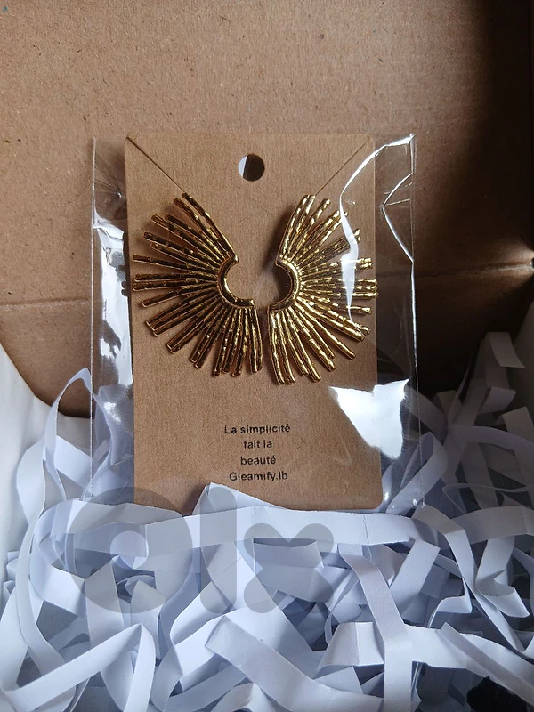 Sun Eexture Hollowed earrings