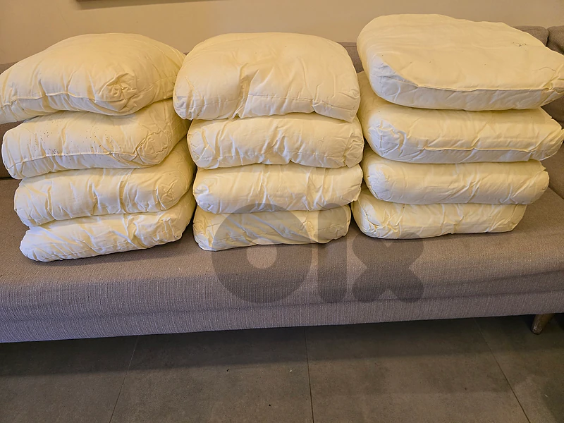 12 Cushions 45x45 cm with covers