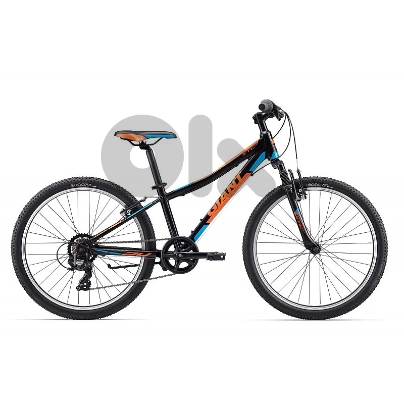 Giant bicycle Giant bicycle