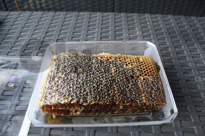 عسل سنديان بشهدو 40$