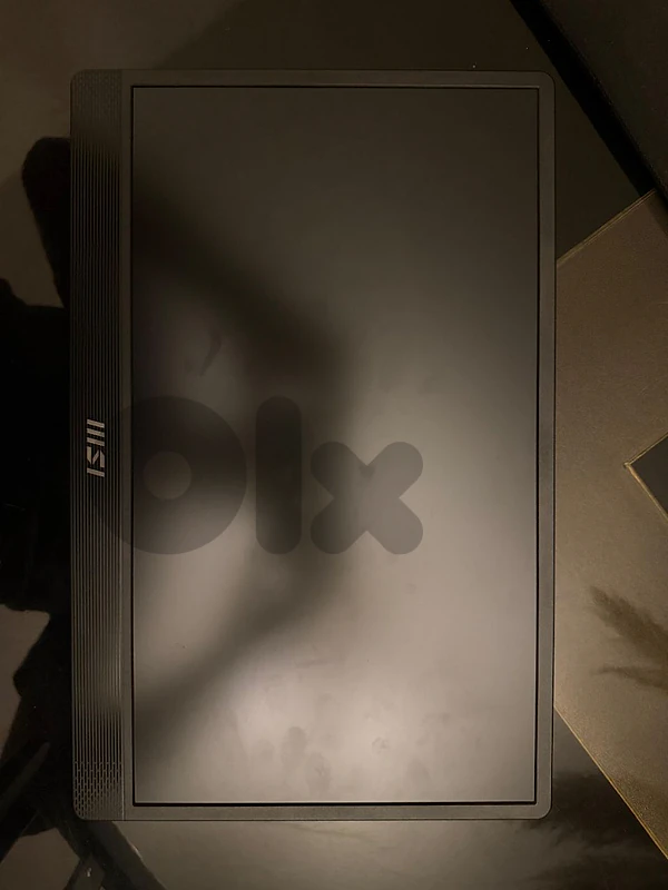 MSI Portable Monitor