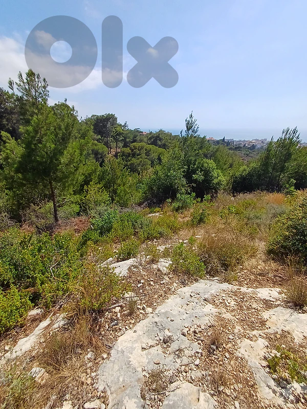 land for sale in Rawabi Batrounعقار للييع في روابي البترون