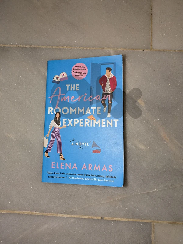 the American roommate experiment