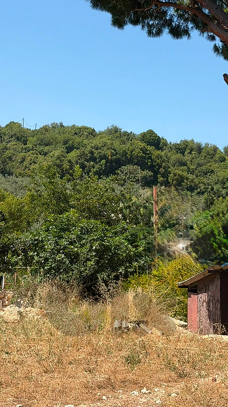 Land For Sale In Obeidat