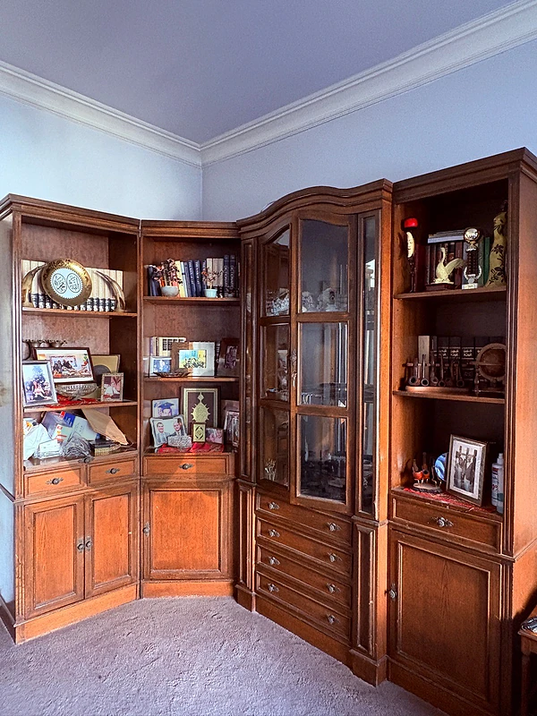 bookshelf and TV cabinet