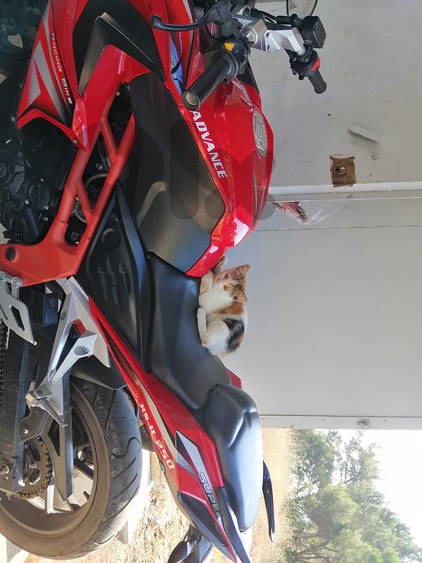 advance  rs 250cc