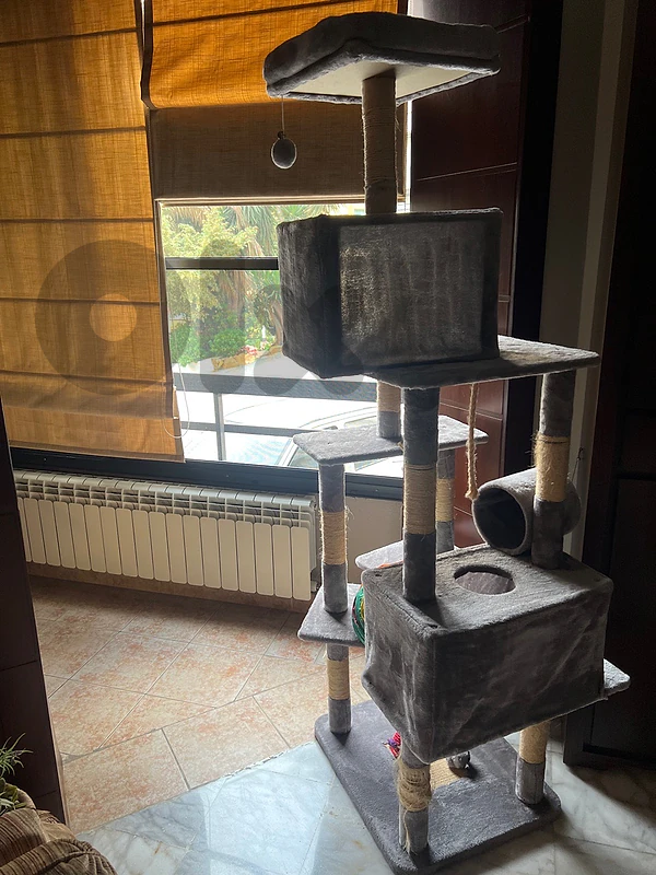 Cat Tree