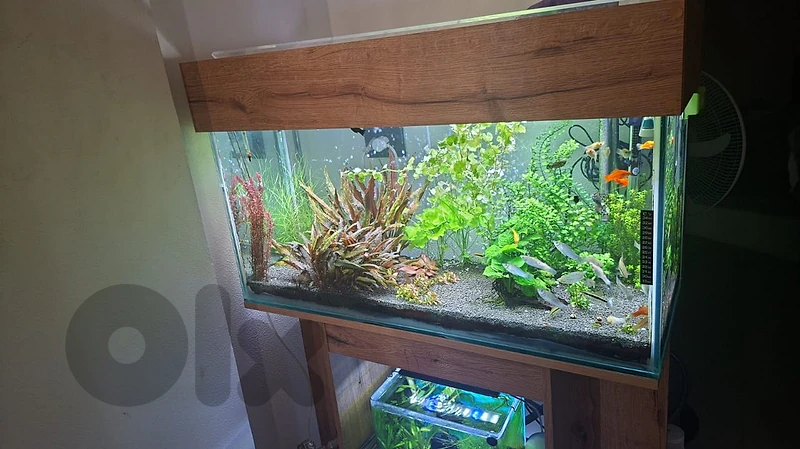 aquarium meter