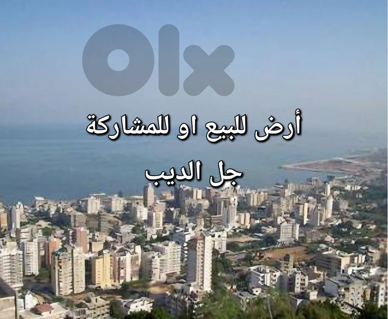 Land for sale Jal Dib ارض للبيع او للمشاركة جل الديب