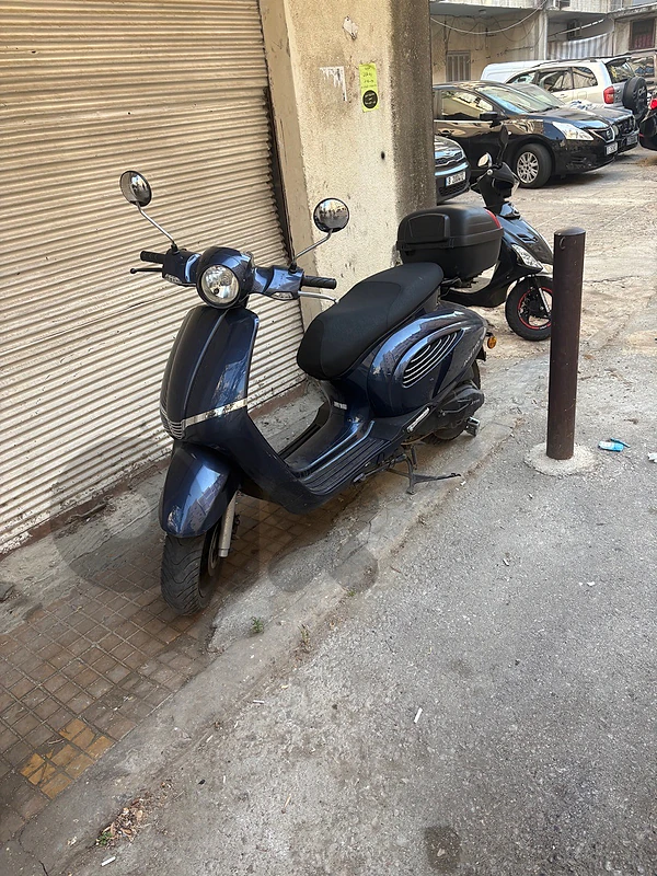 Insetto 175cc