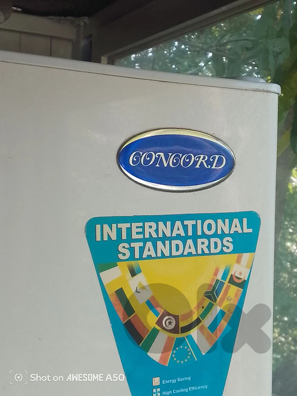 Fridge Concord