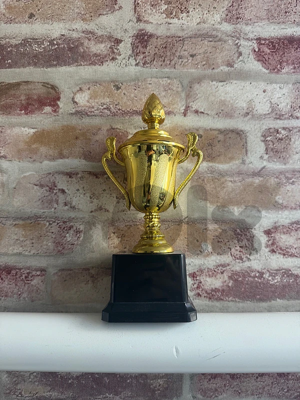 Gold Trophy Cup