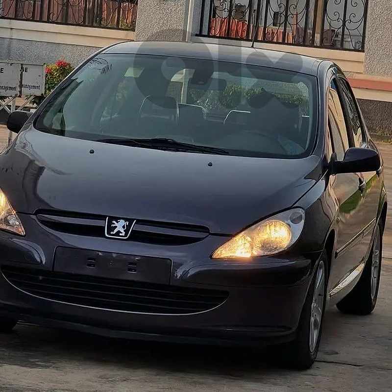 Peugeot 307 2007 2007
